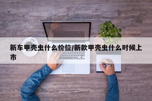 新车甲壳虫什么价位/新款甲壳虫什么时候上市