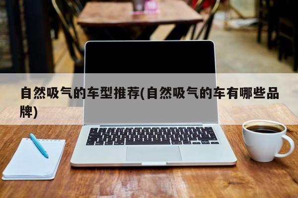 自然吸气的车型推荐(自然吸气的车有哪些品牌)