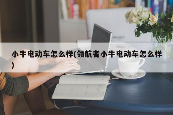 小牛电动车怎么样(领航者小牛电动车怎么样)