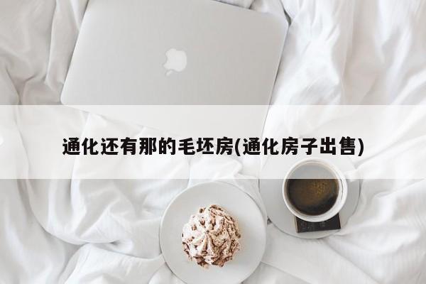 通化还有那的毛坯房(通化房子出售)