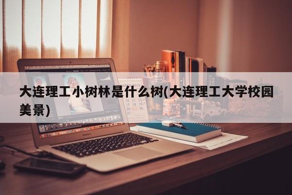 大连理工小树林是什么树(大连理工大学校园美景)