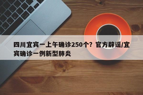 四川宜宾一上午确诊250个？官方辟谣/宜宾确诊一例新型肺炎