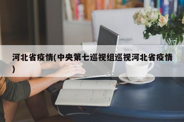 河北省疫情(中央第七巡视组巡视河北省疫情)
