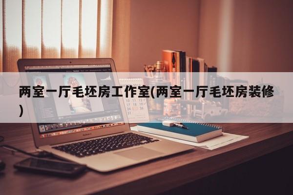 两室一厅毛坯房工作室(两室一厅毛坯房装修)