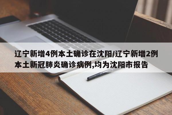 辽宁新增4例本土确诊在沈阳/辽宁新增2例本土新冠肺炎确诊病例,均为沈阳市报告