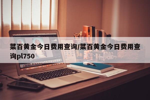 菜百黄金今日费用查询/菜百黄金今日费用查询pl750