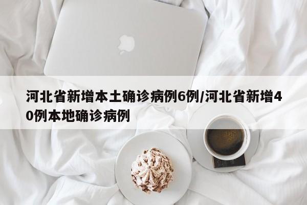 河北省新增本土确诊病例6例/河北省新增40例本地确诊病例